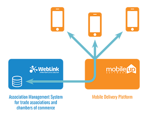 The MobileUp Mobile Delivery Platform accesses data from a WebLink database via an API-level connection.